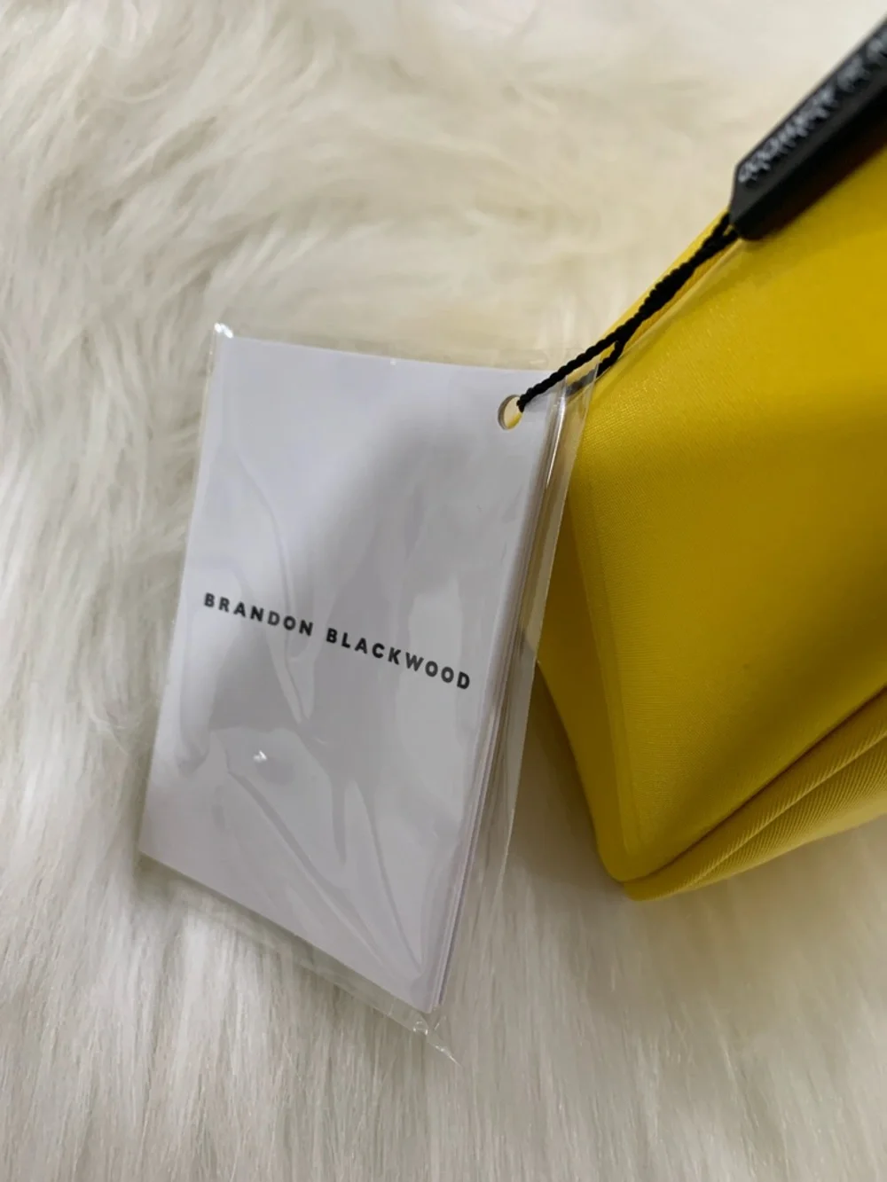Brandon Blackwood Syl Bag In Yellow Nylon - Picture 5 of 15